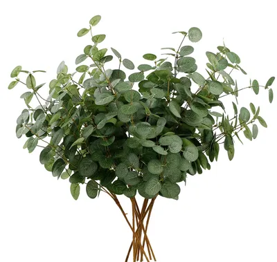 Image de 6 bouquets de branches et de feuilles d'eucalyptus artificielles – des plantes vertes réalistes pour les mariages, les fêtes à la maison, les décorations, les décorations de table et les compositions florales