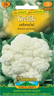Zdjęcie produktu dla Kalafior wieloletni