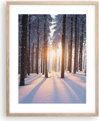 Produktbild von Gerahmtes Poster - Rahmen in heller Eiche - Wald Winter Schnee - 40x50 cm - Wand Bild - Wanddeko - Wandbilder - Wandposter - Bilderrahmen - Bilder - Kunstdruck - Wandbild - P2NPA40x50-3629
