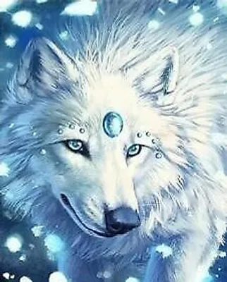 Image de 50x40 cm Peinture par numéros Set avec cadre en bois Loup blanc