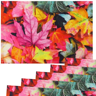 Immagine prodotto di Tovagliette Tovagliette in tessuto Foglie d'acero autunno set di 6