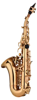 Zdjęcie produktu dla Saksofon sopranowy Mini Bb Materiał mosiężny Powierzchnia lakierowana na złoto Instrument dęty drewniany z futerałem Rękawiczki do czyszczenia Szczotka Stroiki Pasek do saksofonu