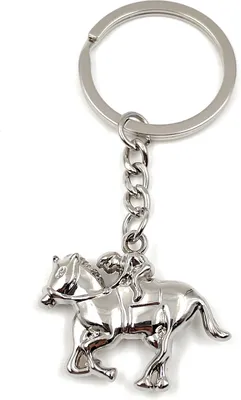 Produktbild von Onwomania Schlüsselanhänger - "Reiten Galopp Pferd " - Metall Glücksbringer ideal als Geschenk z.B. für den besten Freund, die beste Freundin, Mama