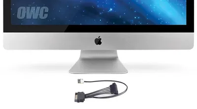 Zdjęcie produktu dla Owc Owcdidimachdd11