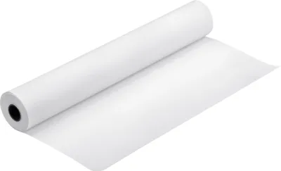 Obrázok produktu pre Epson Proofing Paper White Semimatte, 24" x 30,5 m, 250g/m², 30,5 m, 61 cm, 61 cm (24"), Polomatný, 250 µm, 250 g/m²