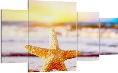Produktbild von Bild auf Leinwand - Leinwandbild - Starfish Strand Sand Ozean - 160x90cm - Wand Bild - Wanddeko - Leinwanddruck - Bilder - Kunstdruck - Wanddekoration - Leinwand bilder - Wandkunst - DL160x90-2815