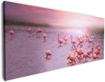 Produktbild von Wallario Premium Leinwandbild Rosa Flamingos bei Sonnenuntergang in Größe 50 x 125 cm