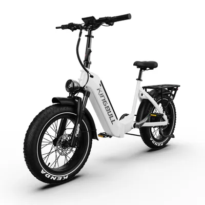 Produktbild von PIXAR VERVE 26 Zoll Fat E-Bike Tiefeinsteiger 250W 48V 20Ah bis 130 km Drehmomentsensor Shimano 8-Gang ZOOM Federgabel
