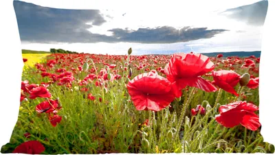 Produktbild von MuchoWow® Zierkissen Sofakissen Wohnzimmer Dekokissen 50x30 cm Mohnblumen vor einem dramatischen, stürmischen Himmel - Wohnzimmerdekoration - Polster mit Photo
