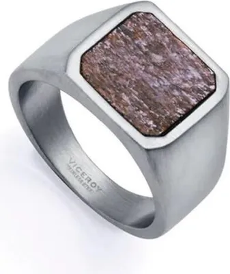 Image de Bague pour homme Viceroy 75376A02611 argentée 26