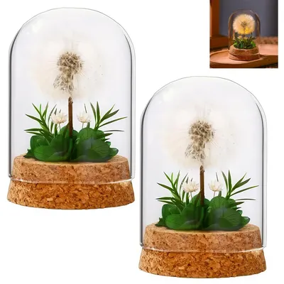 Produktbild von 2pcs Wunschlampen mit LED – echte Pusteblumen im Glas, ideales ewiges Geschenk für Frauen & Mädchen zu Geburtstag,Hochzeit,Weihnachten & Valentinstag