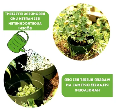 Produktbild von 10er Set | Ø 20 cm | Grün | Gießring | Bewässerungsring für die gezielte Bewässerung von Pflanzen | Pflanzring | Schutz vor Schädlingen