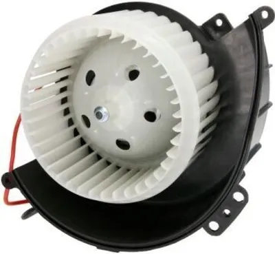 Produktbild von THERMOTEC DDX016TT Gebläsemotor Innenraumgebläse für OPEL Astra G CC (T98) Zafira A (T98) Astra G Caravan (T98) ASTRA G Cabriolet (F67) Astra G Coupe