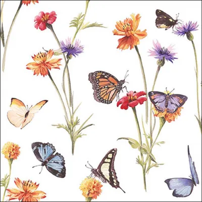 Image de Serviettes de table Ambiente Jardin des papillons 33cm