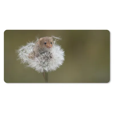 Produktbild von MuchoWow® Mauspad Mousepad Maus - Jung - Blumen 60x30 cm - Mousepads - Maus Mat - Pad - Mausunterlage - Nachhaltig