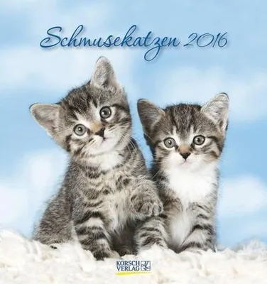 Immagine prodotto di Schmusekatzen 2016: Calendario da parete con cartoline