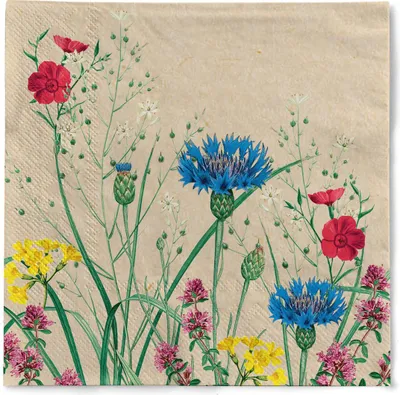 Zdjęcie produktu dla Serwetka papierowa Edith, 40 x 40 cm, 3-warstwowa, 100 sztuk – Mank