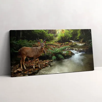 Produktbild von Tropischer Bach und Hirsche – Leinwandbild Wandbild – 100x50 cm – Leinwandbilder – Wandbilder – Schlafzimmer – Flur
