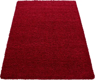 Produktbild von Carpetsale24 Hochflor Teppich Uni Einfarbig Modern Shaggy Teppich Wohnzimmer Flauschig Weich Preishammer, Grösse: 240x340 cm