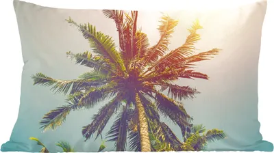 Produktbild von MuchoWow® Zierkissen Sofakissen Wohnzimmer Dekokissen 50x30 cm Palme - Sommer - Tropisch - Sonne - Wohnzimmerdekoration - Polster mit Photo