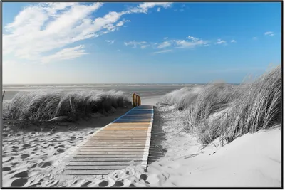 Produktbild von Wallario Wandbild Auf dem Holzweg zum Strand in schwarz-weiß Optik, Größe: 61 x 91,50 cm, Poster mit schwarzem Aluminiumrahmen