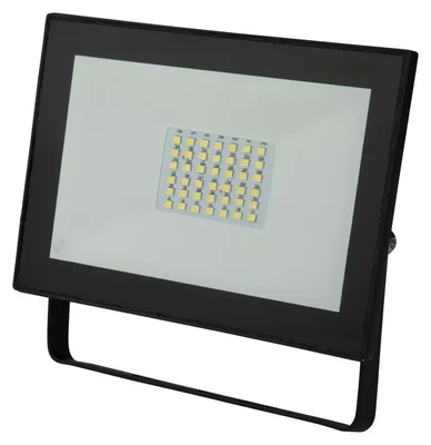 Image de Poly Pool PP3132 Projecteur Noir 30 W LED