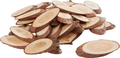 Produktbild von VBS Rindenscheiben-Mix "Oval", ca. 250 g