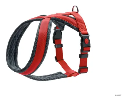 Produktbild von HUNTER Geschirr London Comfort M, rot