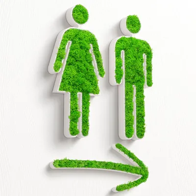 Produktbild von MOOSWERK Moos WC Türschild Set mit Pfeil | Modernes Toilettenschild für Gäste-WC, Badezimmer & barrierefreie Toiletten | Natürliches Moosbild Deko-Schild für Tür oder Wand Weiß