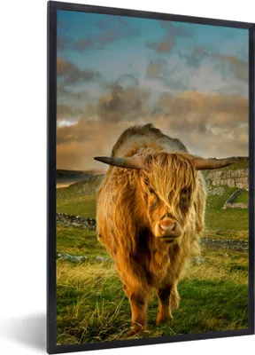 Produktbild von MuchoWow® Gerahmtes Poster Schottischer Highlander - Gras - Berg 20x30 cm - Poster mit Schwarzem Bilderrahmen Wandposter Rahmen Foto Bilder - Drucken - Bilder Poster im Rahmen