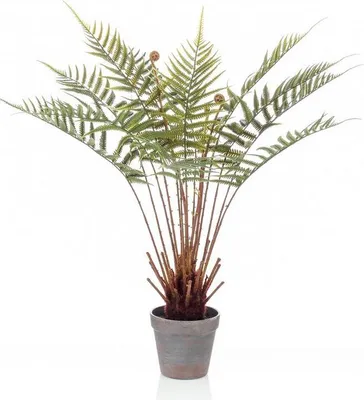 Produktbild von artplants.de Kunstpalme Baumfarn CAMASO im Dekotopf, 60cm - Deko Schwerftfarn