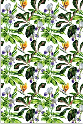 Produktbild von MuchoWow® Poster Paradiesvogelpflanze - Blätter - Muster 20x30 cm - Papierdruck