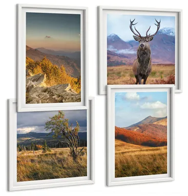 Produktbild von Bilder Set 4-teilig im weißen Rahmen – Wandbilder 4 Stück – gerahmte Poster für Wohnzimmer, Schlafzimmer und Flur – 50x50 cm - 40x60 cm – Berglandschaften, Hirschgras