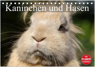 Produktbild von Kaninchen und Hasen (Tischkalender 2026 DIN A5 quer), CALVENDO Monatskalender
