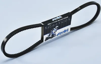 Produktbild von POLINI Antriebsriemen ohne Variator