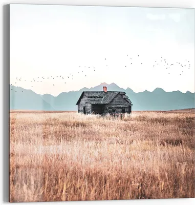 Produktbild von DEQORI Glasbild Echtglas 30x30 cm 'Stille Feldhütte' Wandbild Bild modern Deko