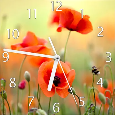 Produktbild von Wallario Design Wanduhr Mohnblumenblüten aus Echtglas, Größe 20 x 20 cm