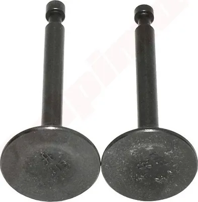 Image de Honda Gx160 Soupape noire ( 14711-Zf1-000 , 14721-Zf1-000 )