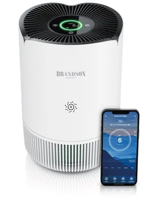 Image de Brandson Purificateur d'air silencieux, Air Purifier, Purificateur d'air ambiant pour pièces de 45 m², filtre HEPA H13 pour personnes allergiques élimine 99,97% des virus des bactéries des allergènes de la poussière du pollen de la fumée des poils d'animaux