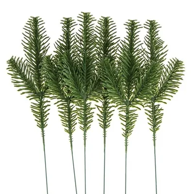 Immagine prodotto di Ramoscelli di pino da 26 cm.