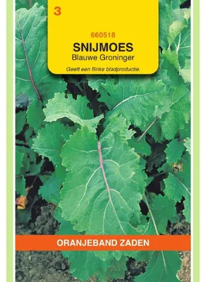 Imagen del producto de Oranjeband Quesse de Groningue - 1 paquete de semillas