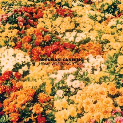 Immagine prodotto di Brendan Canning: Brendan Canning: Home Wrecking Years - - (LP / H)