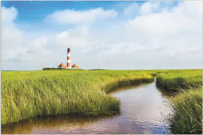 Produktbild von Wallario Wandbild Kleiner Bach durch Schilf auf dem Weg zum Leuchtturm, Größe: 61 x 91,5 cm, Poster mit rahmenlosen Bildhalter