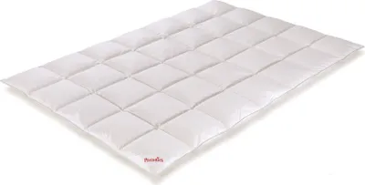 Produktbild von Paradies Daunenbettdecke Galia 90 Leicht Warm 155x220 cm
