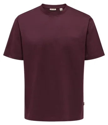 Image de T-shirt Only & Sons Onsfred Life RLX Ss Noos