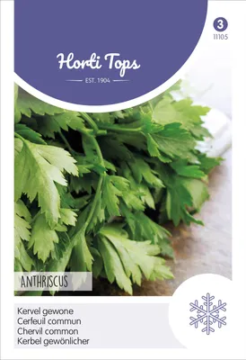 Produktbild von Kerbel Gewöhnlicher | Kerbelsamen von Hortitops
