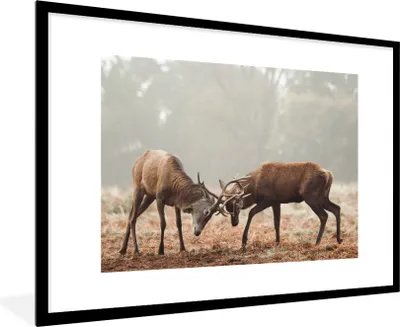 Produktbild von MuchoWow® MuchoWow® Gerahmtes Poster Hirsche - Wald - Gras 90x60 cm - Poster mit zchwarzem Bilderrahmen - Wanddekoration - Fotos