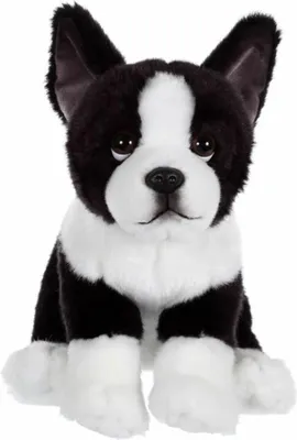 Zdjęcie produktu dla Peluche cygańska zabawka przyjaciel zwierząt
