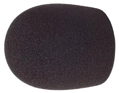 Image de RYCOTE Mic Foam Reporter 40/55