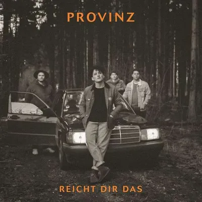 Obrázok produktu pre Provinz: Reicht dir das - Warner - (AudioCDs / Maxi-CD)